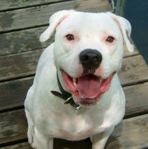 Meet your Posher, Best